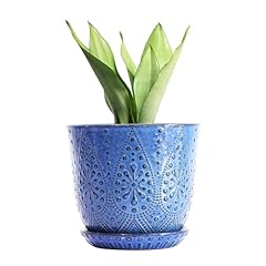 Gepege inch plant for sale  Delivered anywhere in USA 