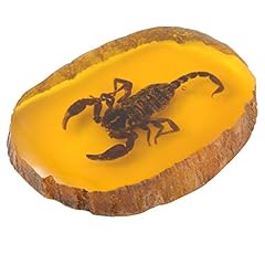 Amber insect artificial for sale  Delivered anywhere in UK