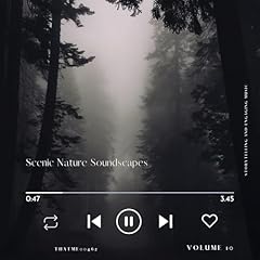 Ambient aspens hymns d'occasion  Livré partout en France