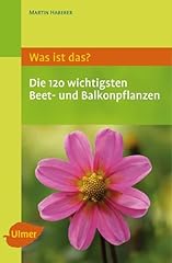 120 wichtigsten beet gebraucht kaufen  Wird an jeden Ort in Deutschland