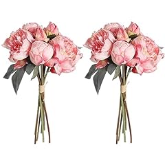 Icbox pink peonies for sale  Delivered anywhere in USA 