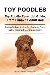 Toy poodles. toy for sale  Delivered anywhere in UK