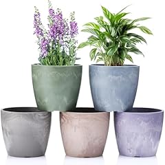 Croblissful pack flower for sale  Delivered anywhere in USA 