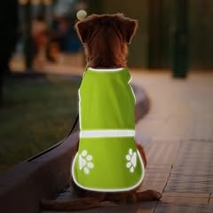 Candofly reflective dog for sale  Delivered anywhere in USA 