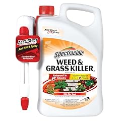 Spectracide weed grass for sale  Delivered anywhere in USA 