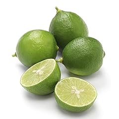 Key lime tree for sale  Delivered anywhere in USA 
