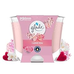 Glade bougie vegan d'occasion  Livré partout en France