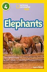 Elephants level for sale  Delivered anywhere in UK