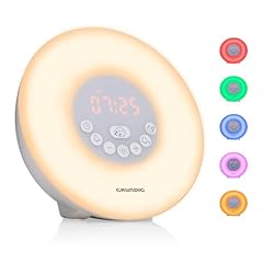 Grundig lichtwecker radio gebraucht kaufen  Wird an jeden Ort in Deutschland