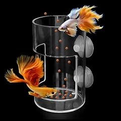 Dbeans flourithing fish for sale  Delivered anywhere in USA 
