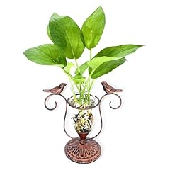 Poxoho propagation vases for sale  Delivered anywhere in USA 