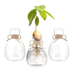 Hewory acorn vase for sale  Delivered anywhere in UK