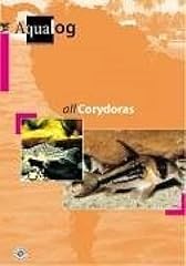 All corydoras d'occasion  Livré partout en France