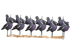 Heerweiyi dove pigeons for sale  Delivered anywhere in USA 