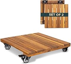 2pack wood plant for sale  Delivered anywhere in USA 