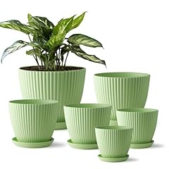 Rootimmer indoor planters for sale  Delivered anywhere in USA 