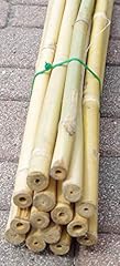 Canne bamboo per usato  Spedito ovunque in Italia 
