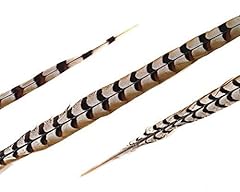 Schuman feathers reeves for sale  Delivered anywhere in USA 