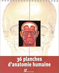 Planches anatomiques version d'occasion  Livré partout en France