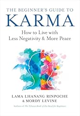 Beginner guide karma for sale  Delivered anywhere in USA 