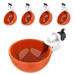 Lil clucker large for sale  Delivered anywhere in USA 
