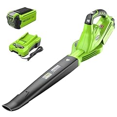 Greenworks 40v leaf for sale  Delivered anywhere in USA 
