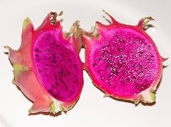 Purple dragon fruit for sale  Delivered anywhere in USA 