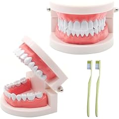 Niyata 2pcs modele d'occasion  Livré partout en France