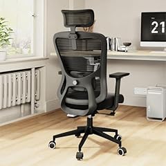 Zyffhylai ergonomic office for sale  Delivered anywhere in USA 