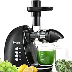 Slow masticating juicer for sale  Delivered anywhere in USA 