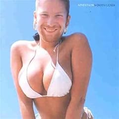 Windowlicker vinyl single gebraucht kaufen  Wird an jeden Ort in Deutschland