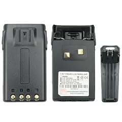 Batteria agli ioni usato  Spedito ovunque in Italia 