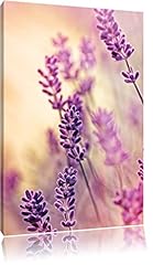 Lavendel format 40x60 gebraucht kaufen  Wird an jeden Ort in Deutschland