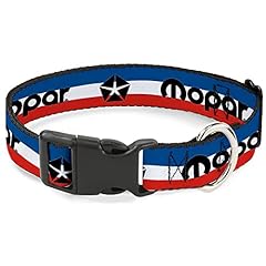 Buckle dog collar for sale  Delivered anywhere in USA 