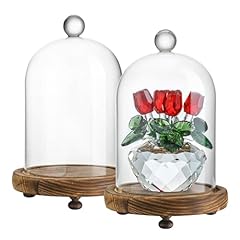 Zeershee 2pcs glass for sale  Delivered anywhere in USA 