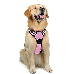 Rabbitgoo dog harness for sale  Delivered anywhere in UK