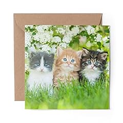 Greeting card gorgeous for sale  Delivered anywhere in UK
