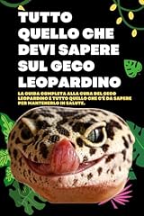 Tutto quello che usato  Spedito ovunque in Italia 