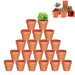 Pcs terracotta plant for sale  Delivered anywhere in UK