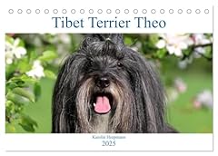 Tibet terrier theo gebraucht kaufen  Wird an jeden Ort in Deutschland