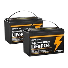 12v 100ah lifepo4 for sale  Delivered anywhere in USA 