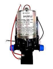 Shurflo trail king usato  Spedito ovunque in Italia 