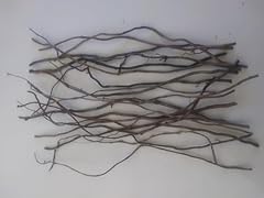Dried corkscrew willow for sale  Delivered anywhere in USA 