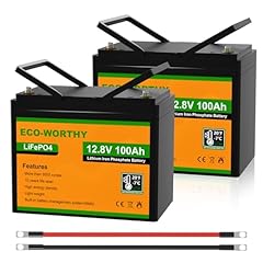 Eco worthy pack for sale  Delivered anywhere in UK