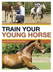 Train young horse for sale  Delivered anywhere in USA 