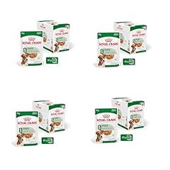 Royal canin mini gebraucht kaufen  Wird an jeden Ort in Deutschland