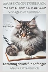 Maine coon kitten gebraucht kaufen  Wird an jeden Ort in Deutschland