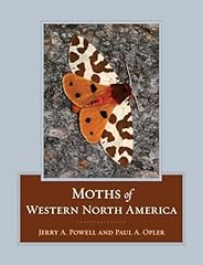 Moths western north for sale  Delivered anywhere in USA 