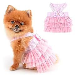 Paideful kleines hundekleid gebraucht kaufen  Wird an jeden Ort in Deutschland