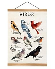Ztgda birds vintage for sale  Delivered anywhere in USA 